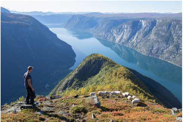 fjelltur-bilde.png