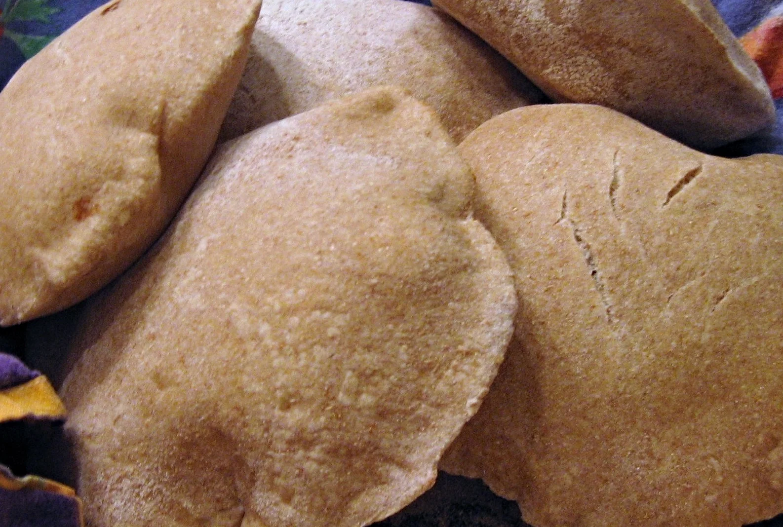 Whole-wheat pita bread (and the mystery of the pita pocket)