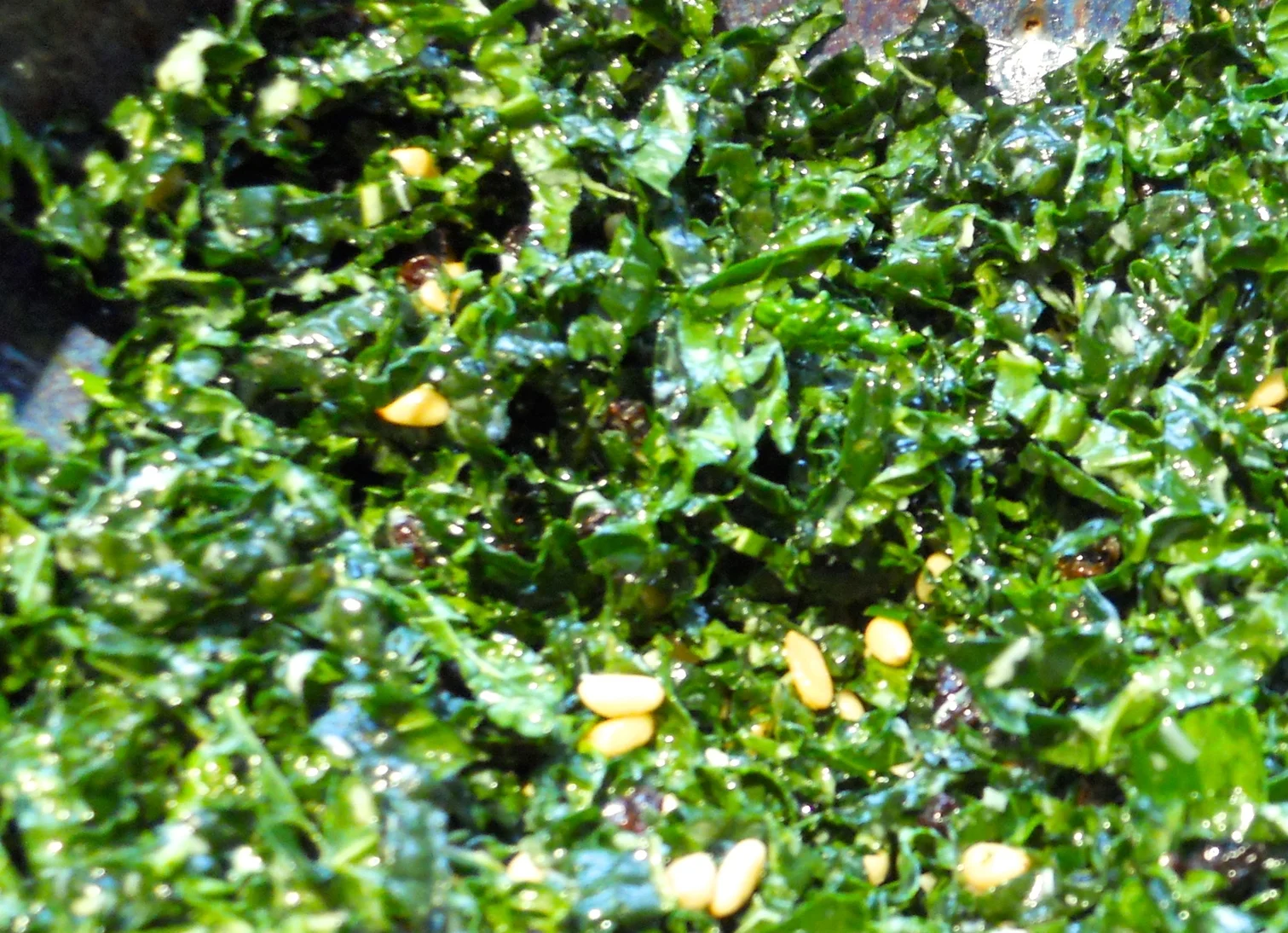 Crispy kale and fresh herb salad with sesame miso dressing