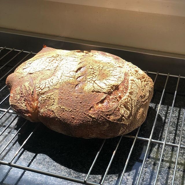 Sourdough of the day .
.
#bread #covidbread #sourdoughbread #bake 
#vegan #veganfood #veganfoodie #veganrecipes #nutrition #nutritionalyeast #instafood #plantbased #crueltyfree #newtovegan #plantbasedmeals #spices #healthyfoods #healthfoods #millinea