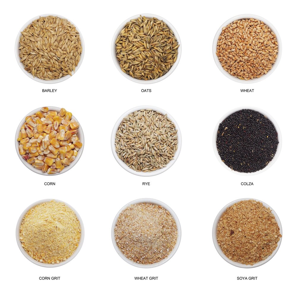 The Whole Truth About Whole Grains and Your Health — Dr. Ayala