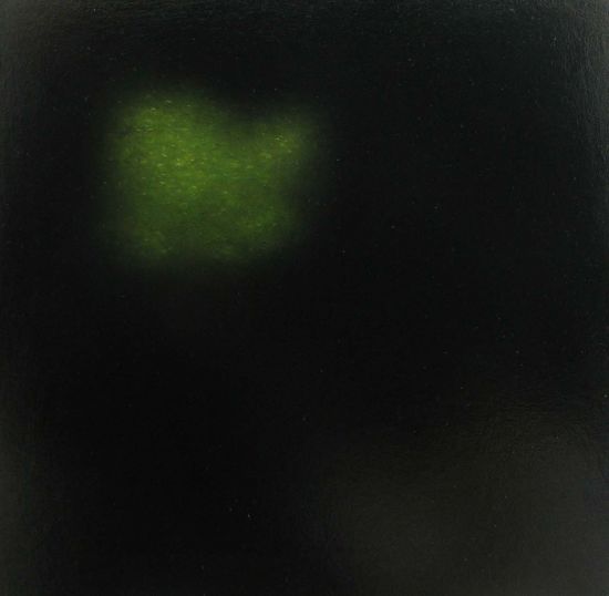 Night Tree 2