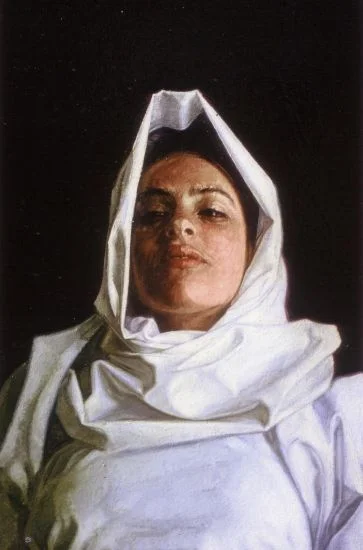 Detail of 'Shroud'