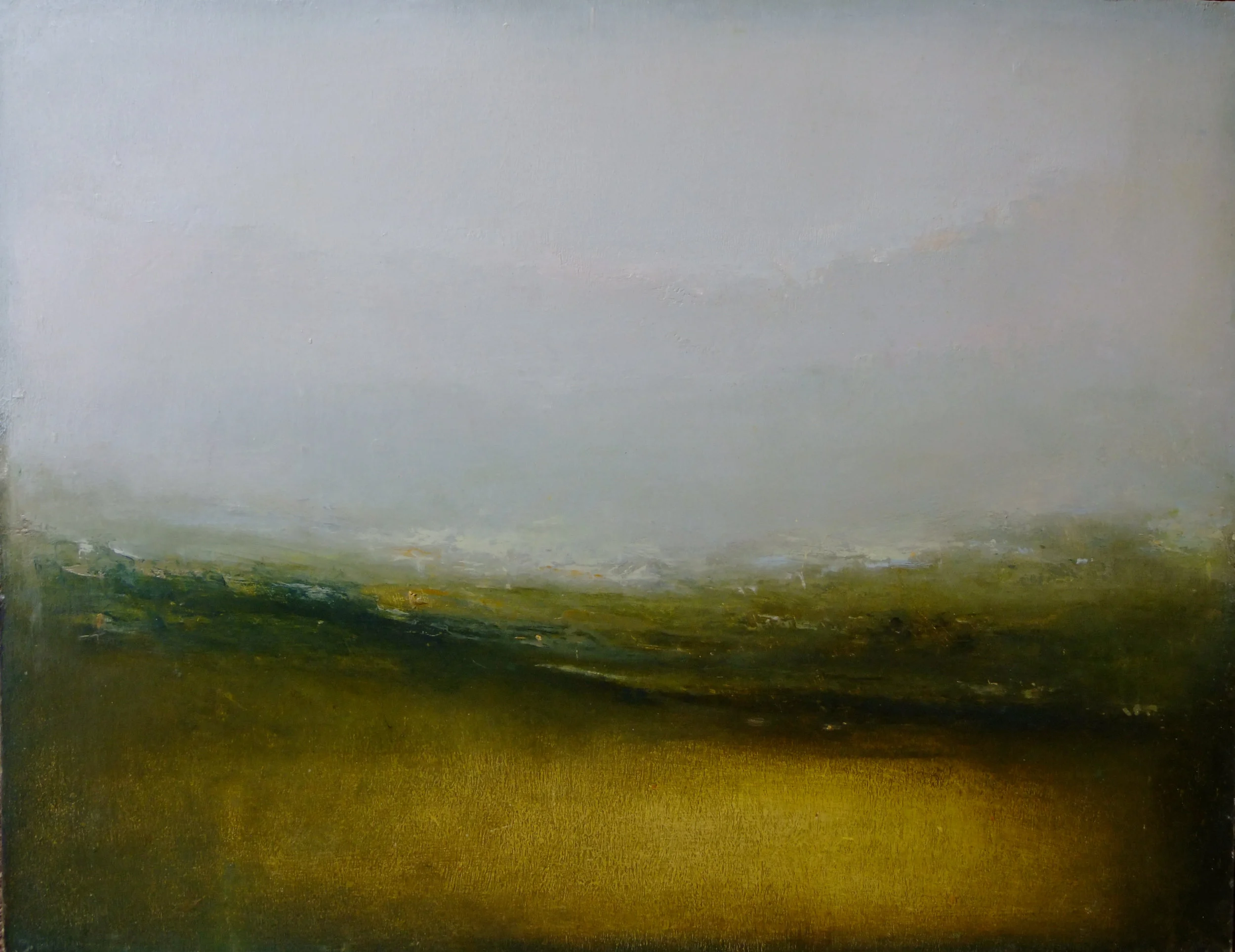 Sunlit Meadow