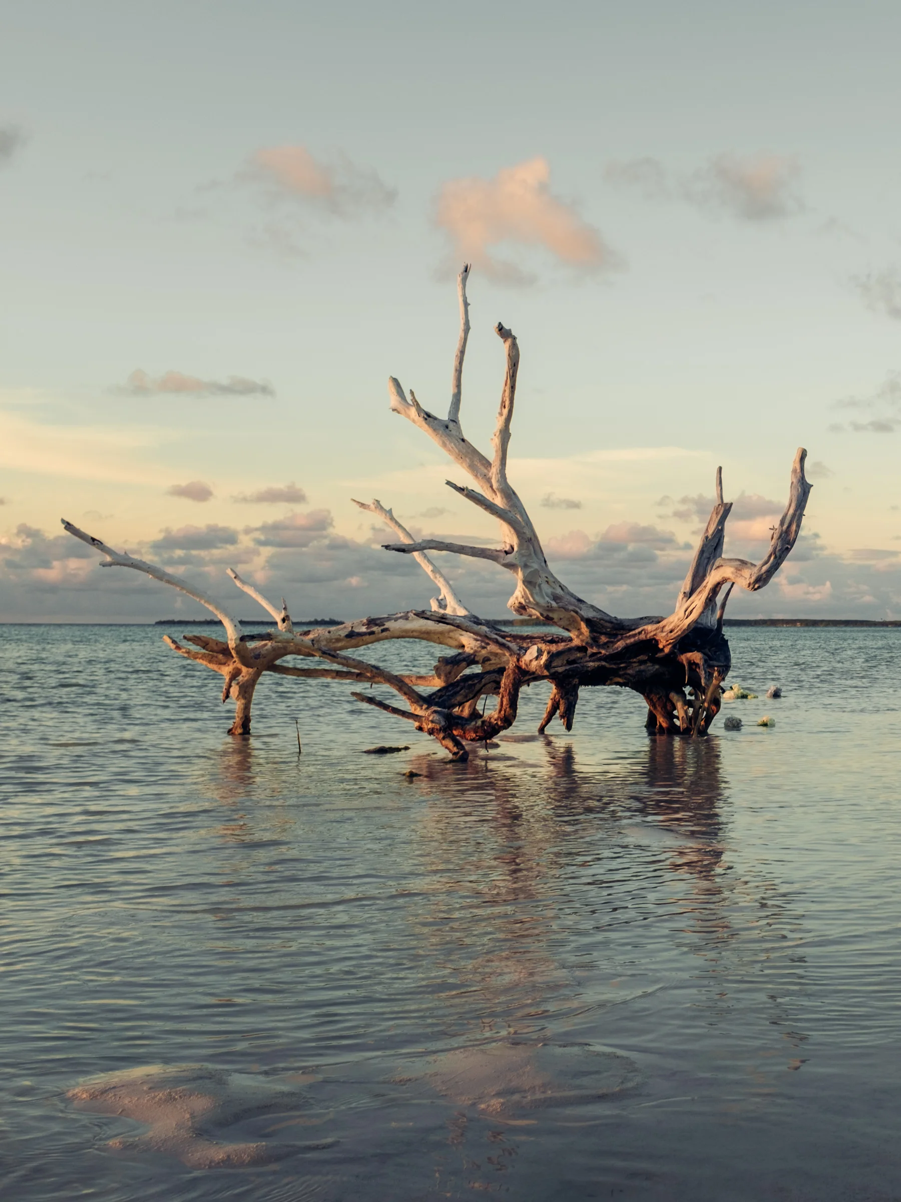 181111_Harbour_Island_1635.jpg