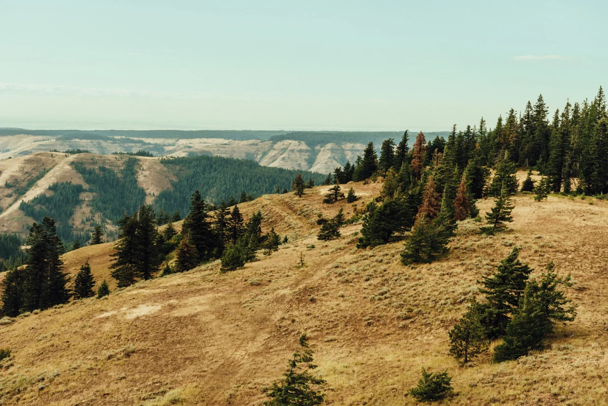 0050_07_Lookout_Mountain_0069.jpg