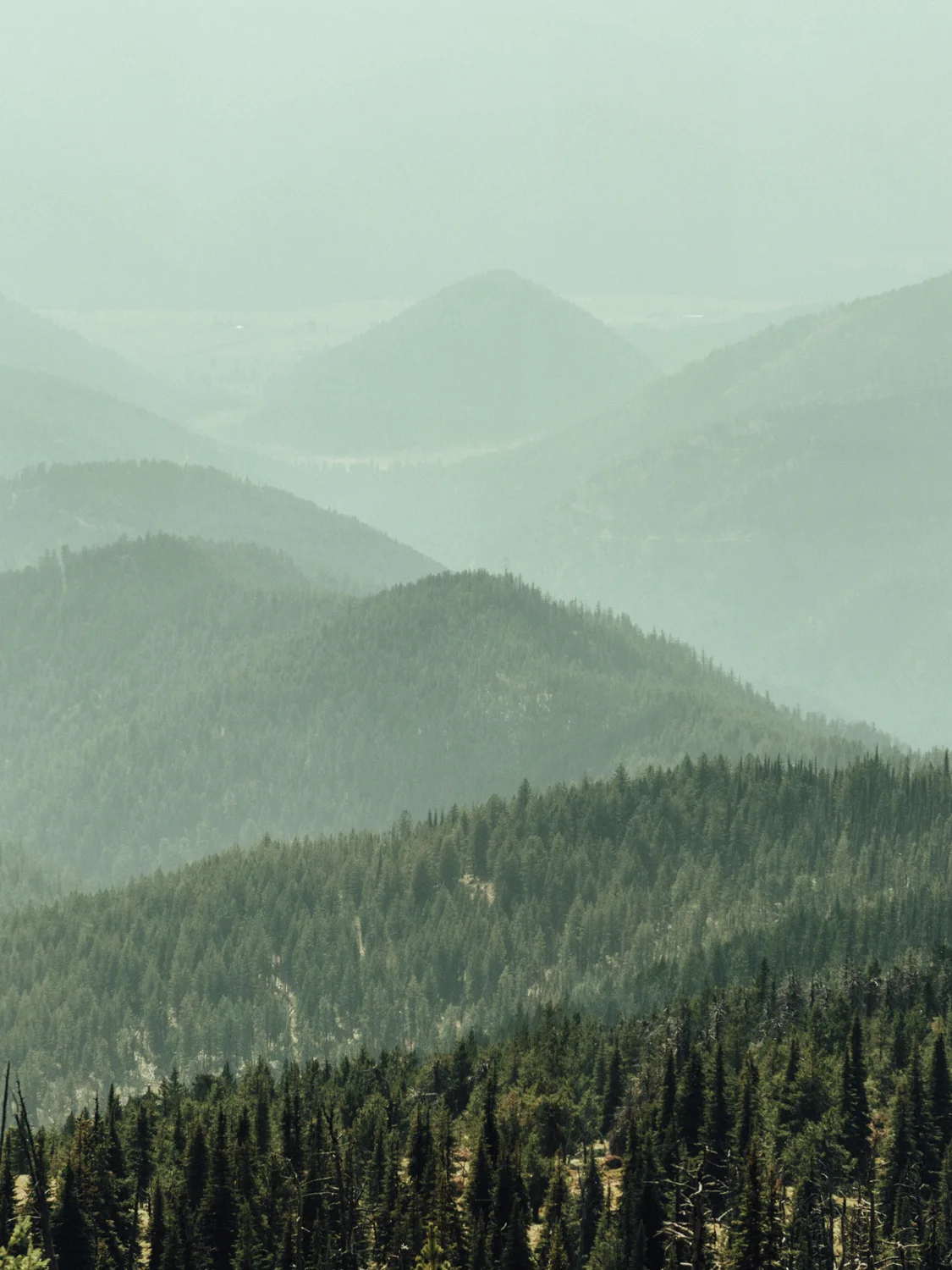 0050_01_Stark_Mountain_0123_final.jpg