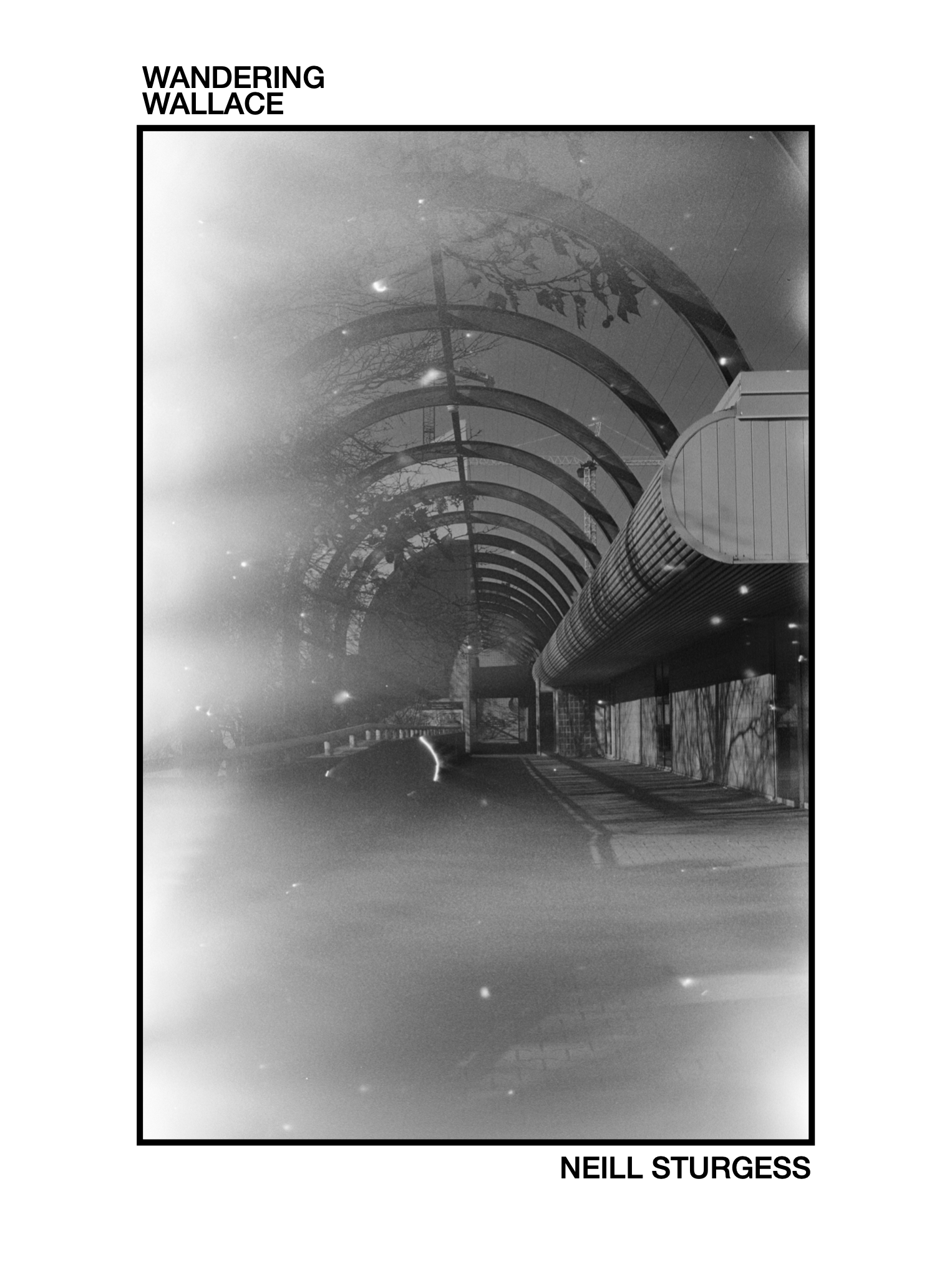 Wandering Wallace Cover Digital Edition.png