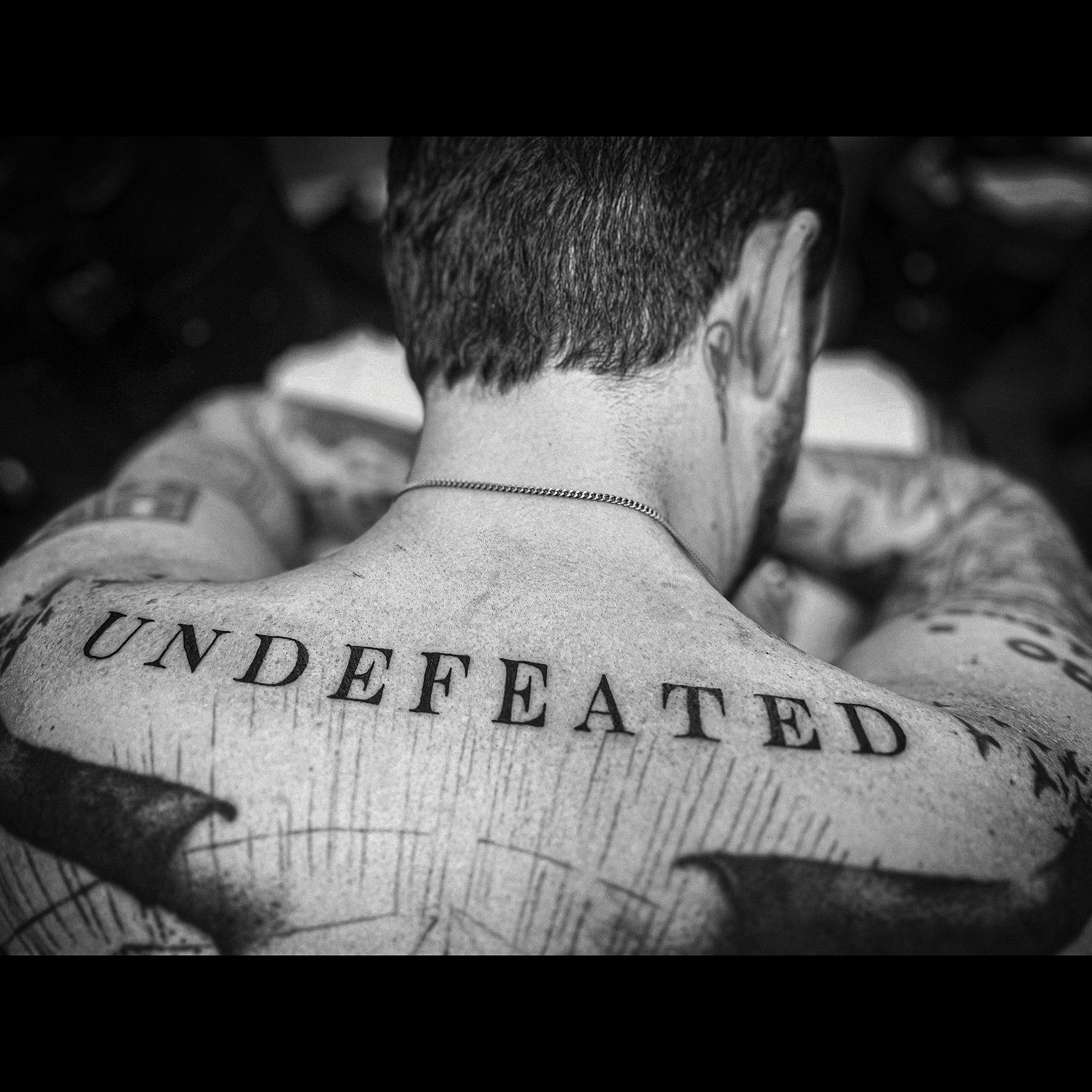 Frank Turner 'Undefeated' Cover Art.jpg