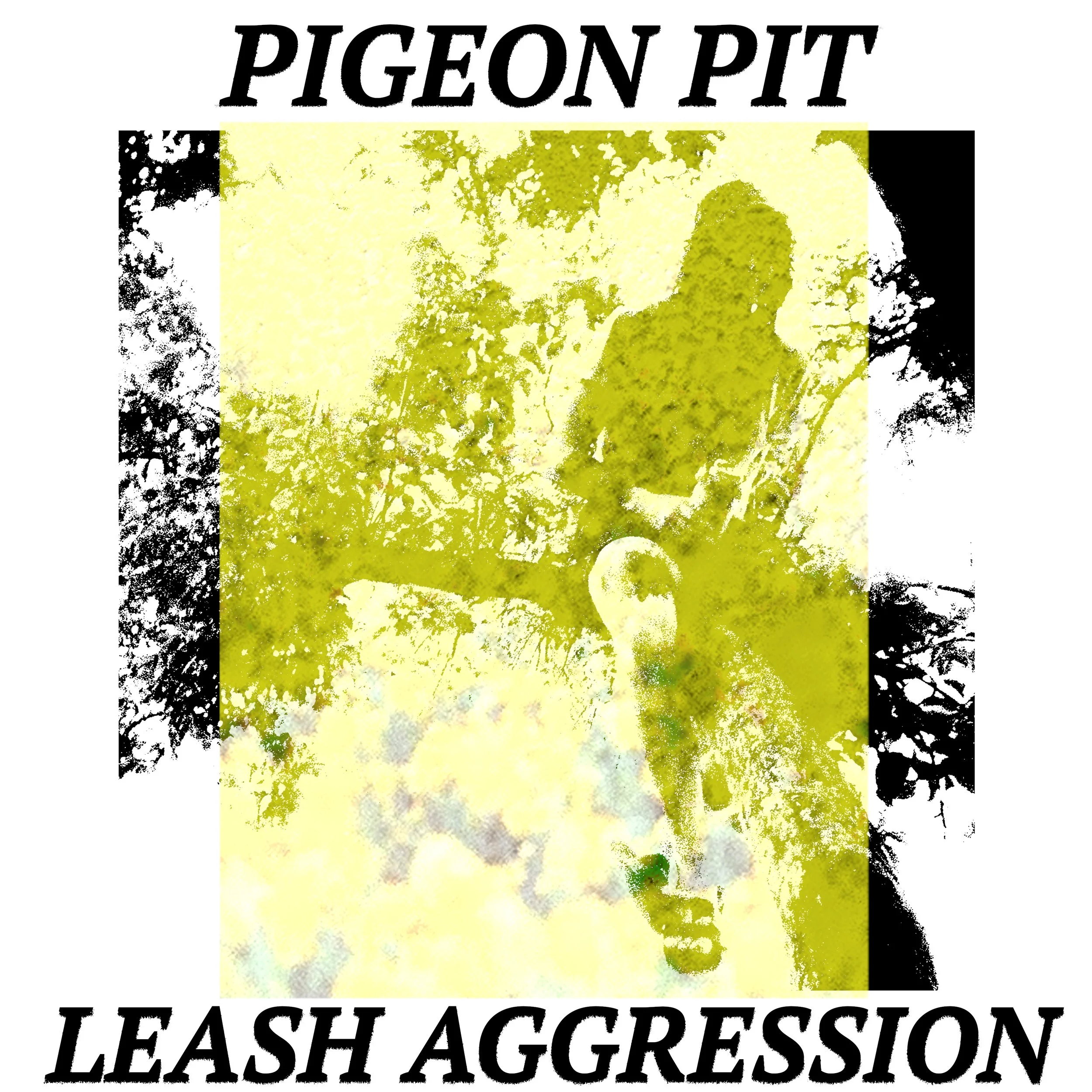 LEASHAGGRESSION.cover.jpg