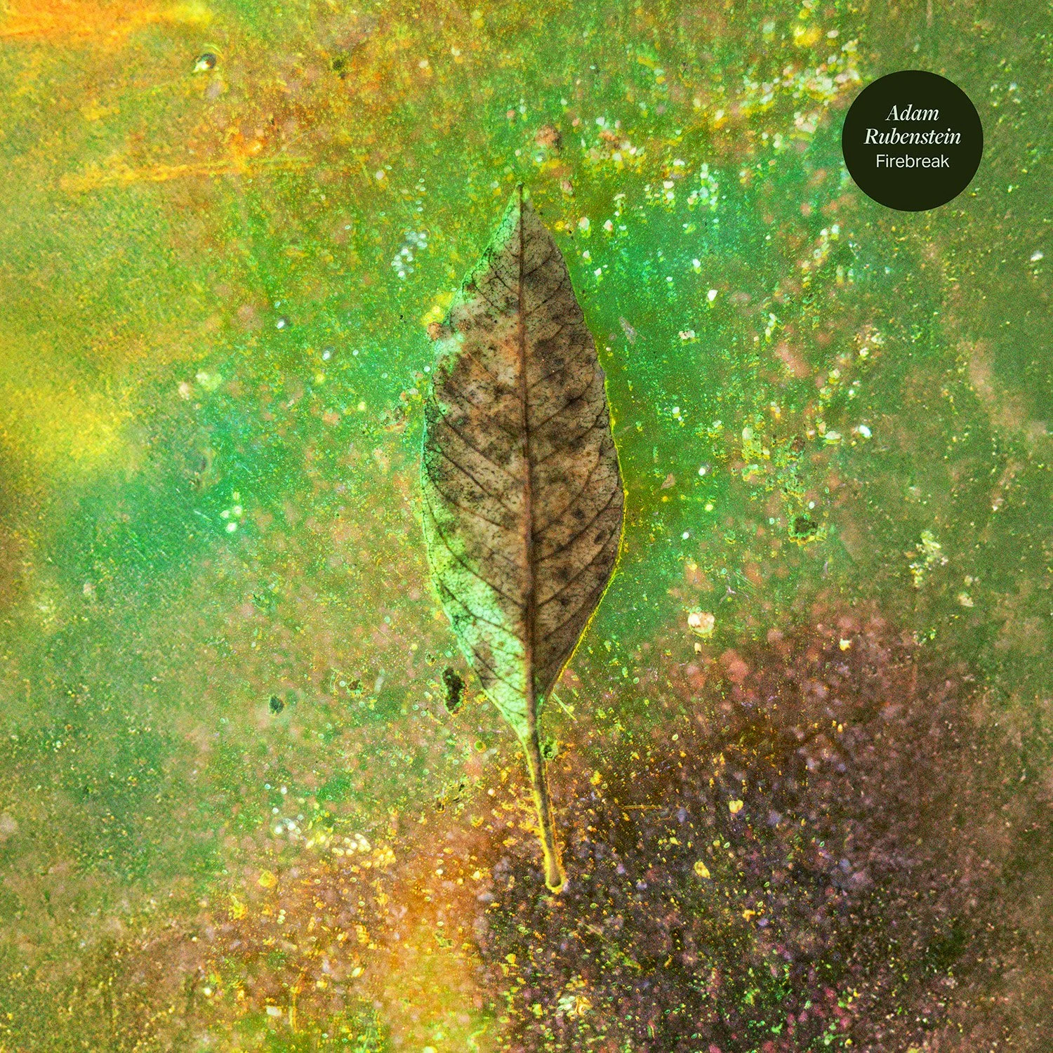 Firebreak_LP cover smaller.jpg