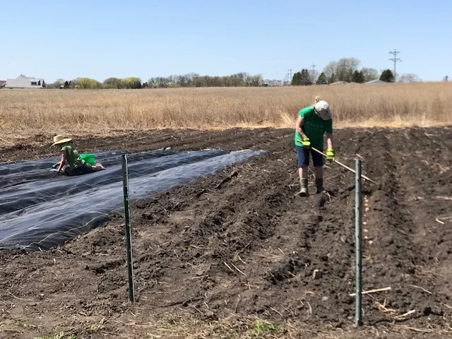 Planting IMG_1630.jpg