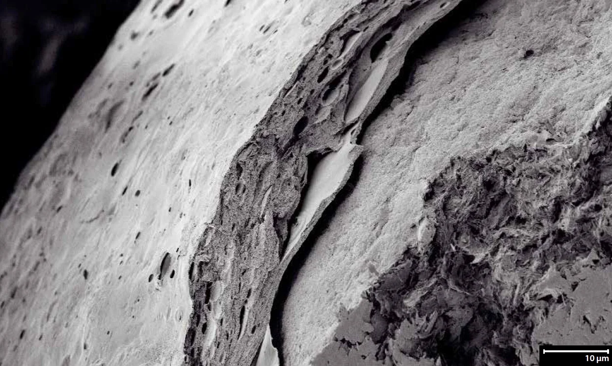 Enzymes sous forme de pellet - Enrobage par pulvérisation (photo Glatt)