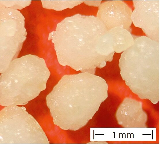 PUFA, Encapsulation, ProCell