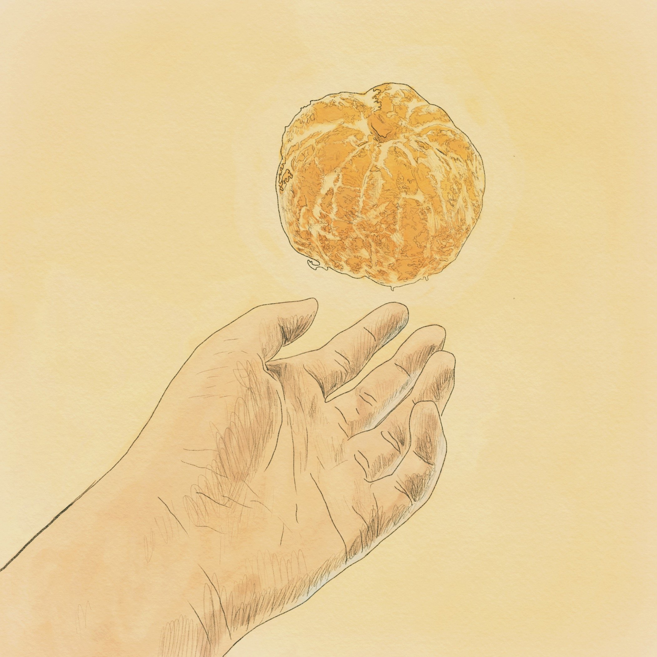 Gyul (Tangerine) by Seowon (Angela) Lee