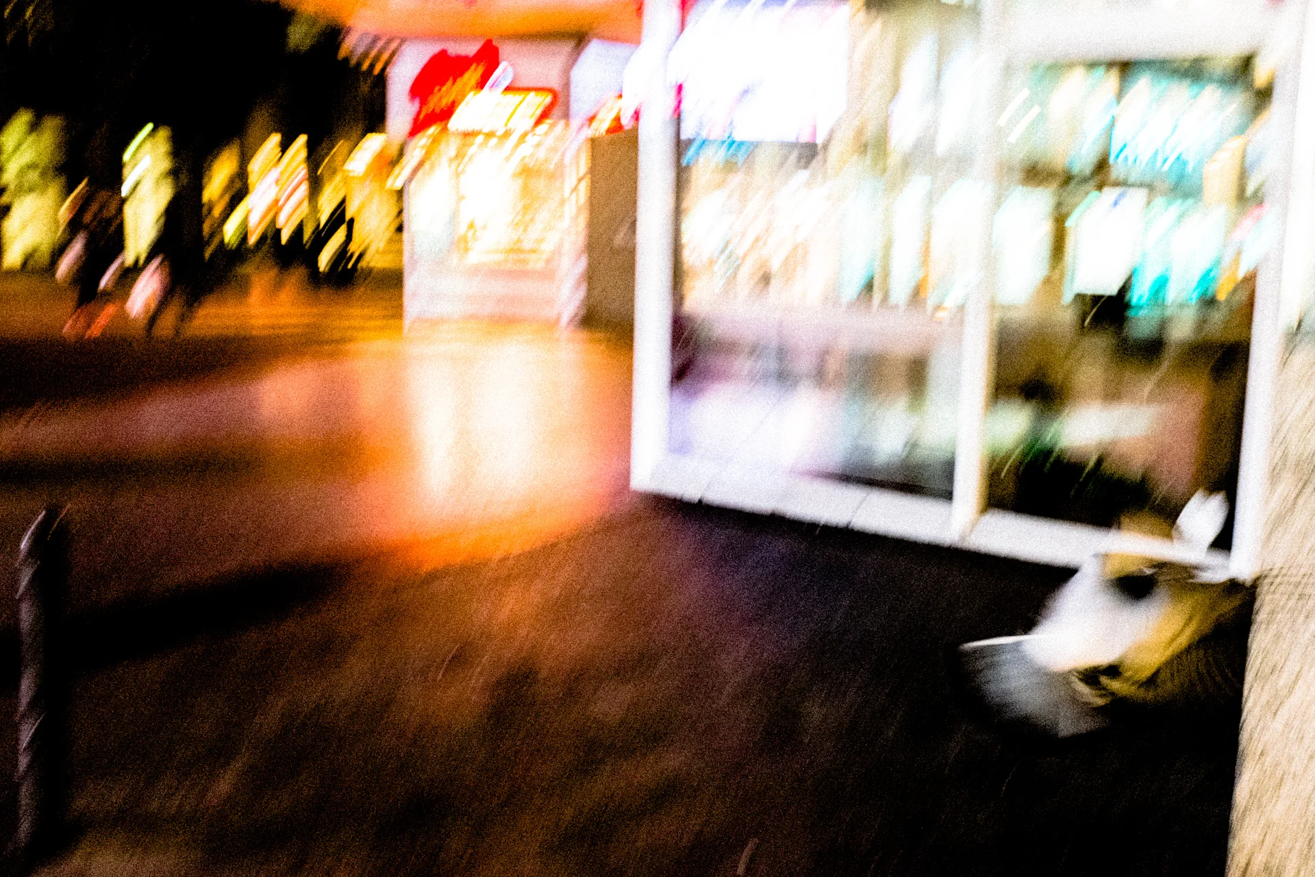 _S065469.jpg