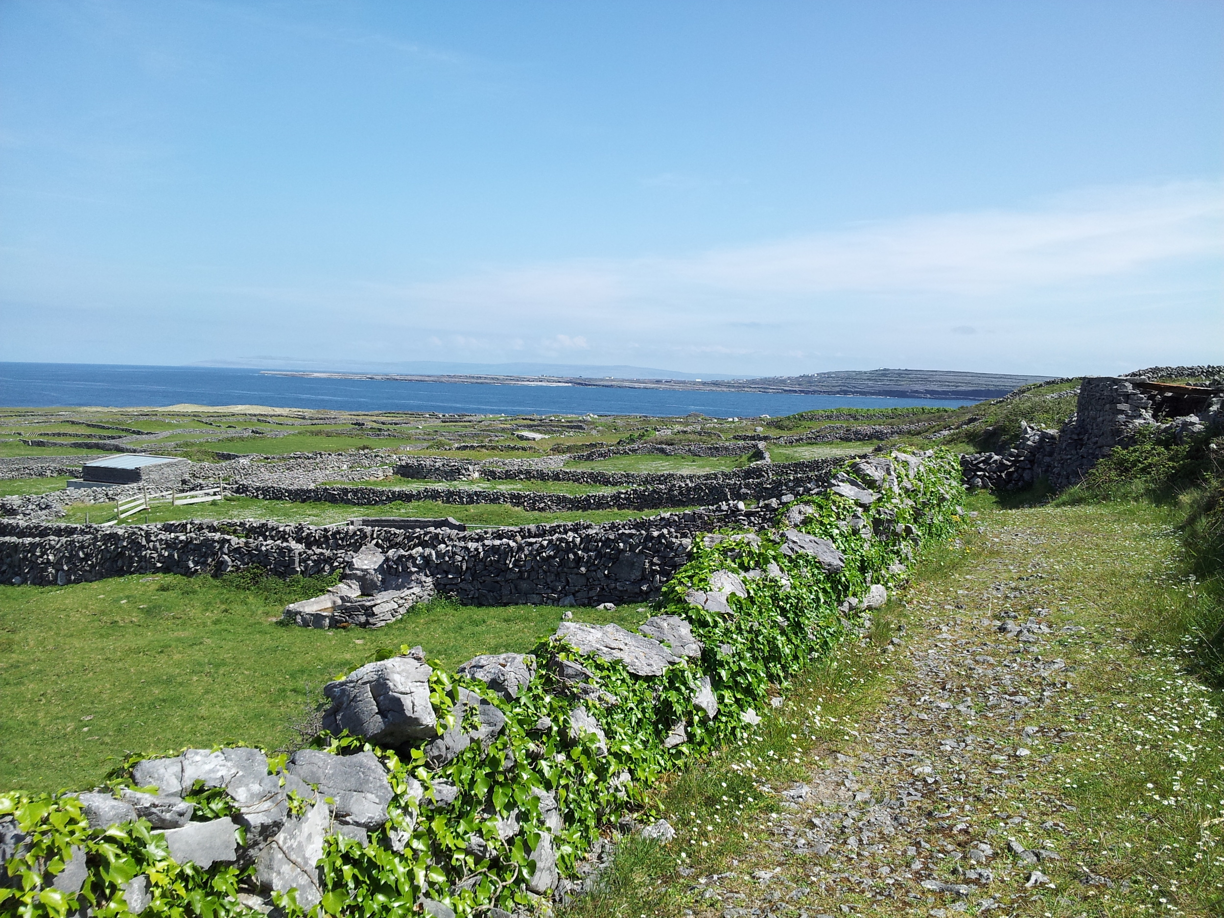 Arean_2014-05-15 14.43.18.jpg