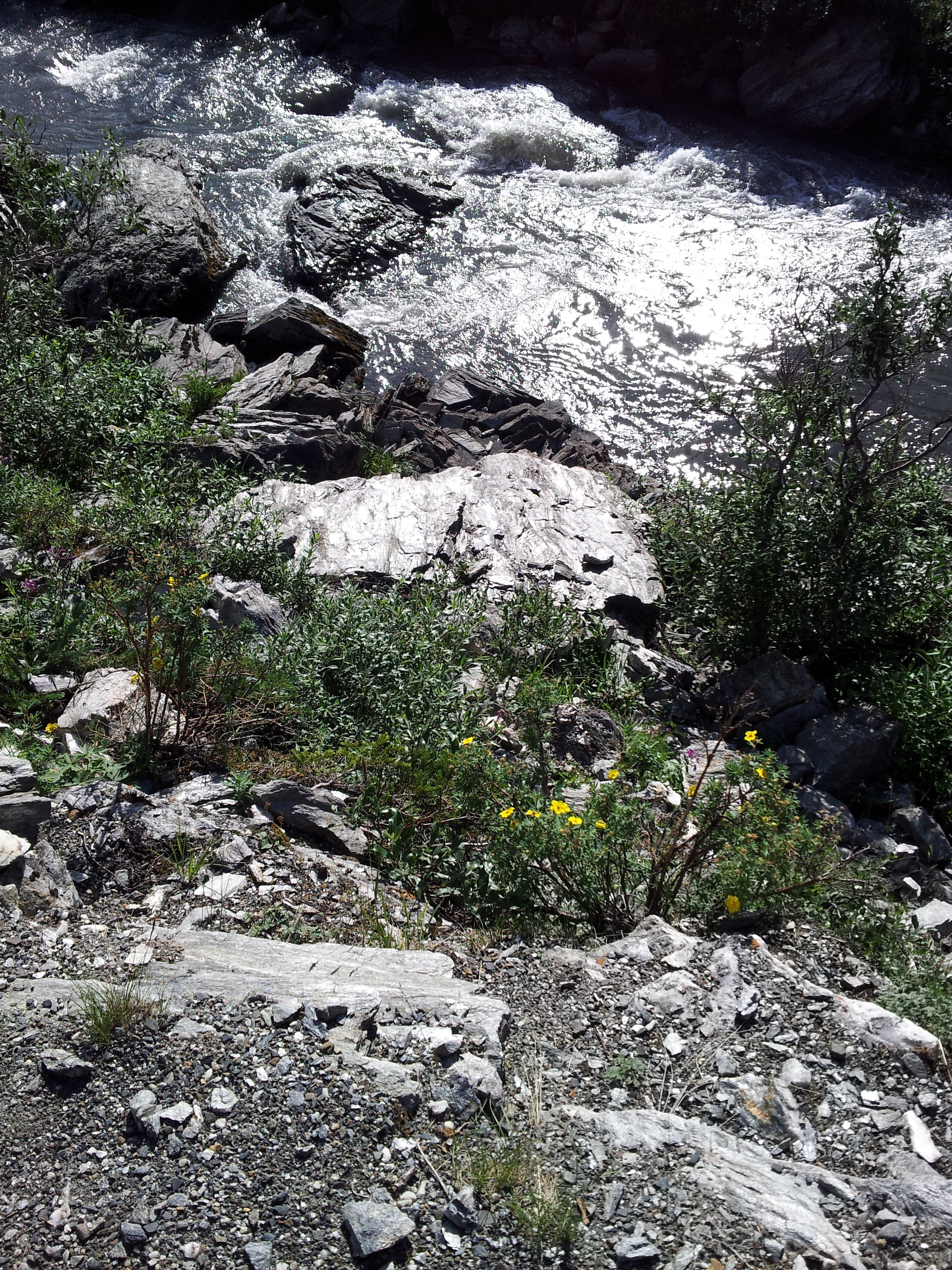 20130726_180541_9452568921_o.jpg