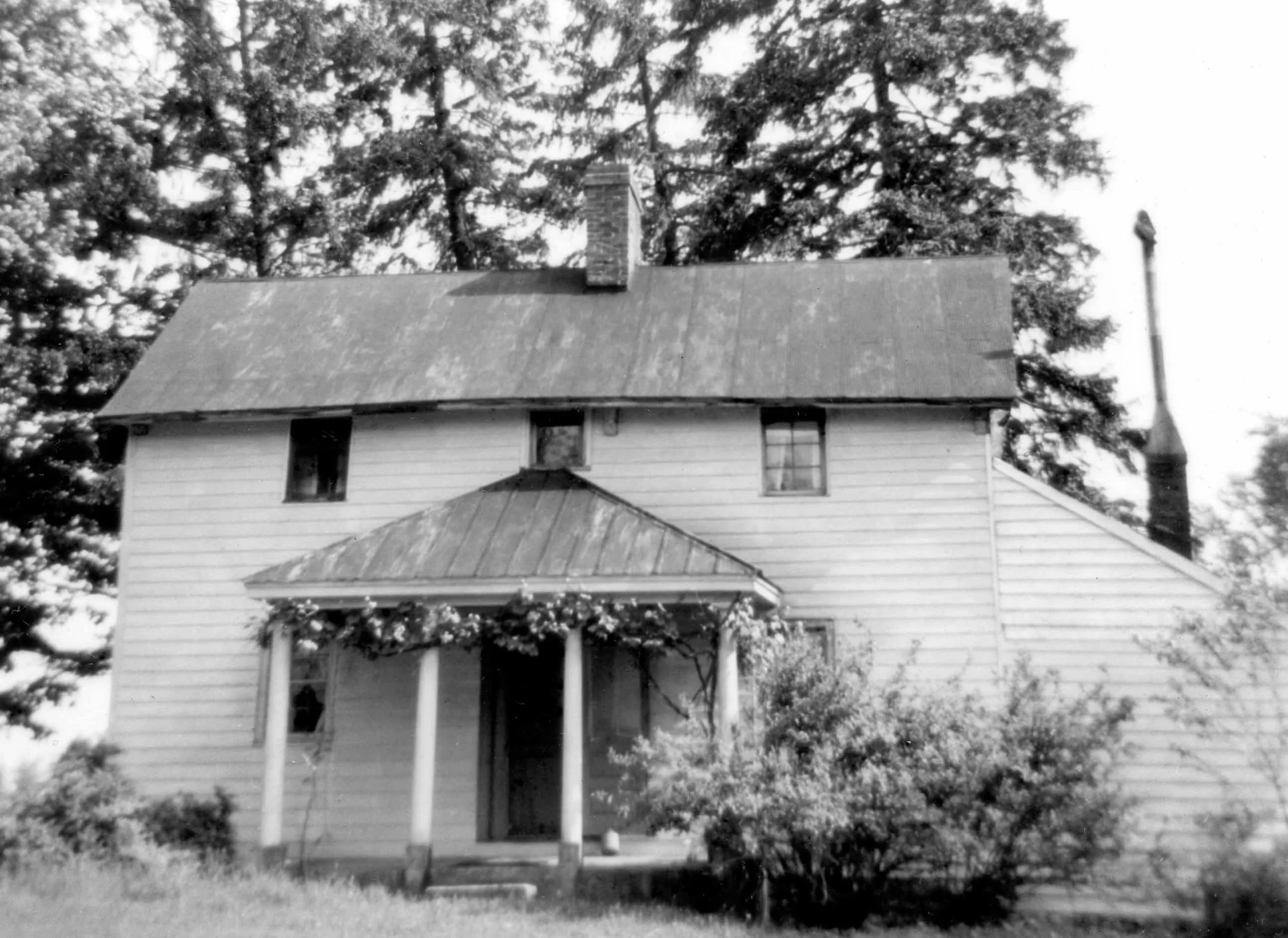 cabin with siding.jpg