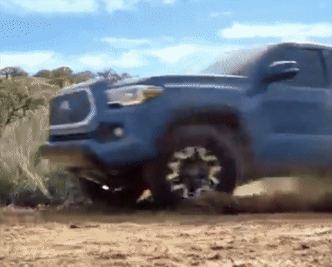 Toyota: <br> Dear Toyota