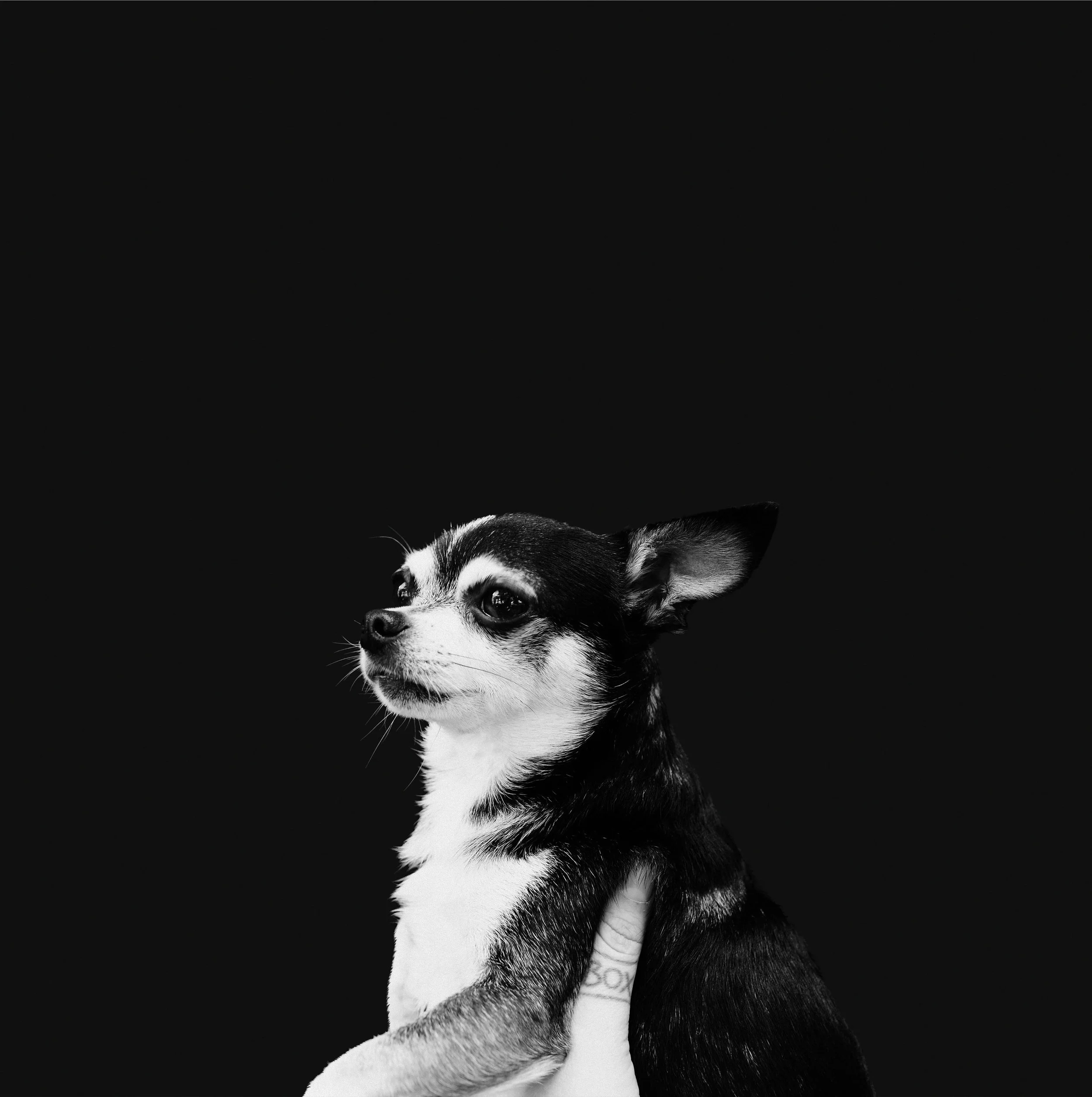 When This Life is Over COVER.jpeg