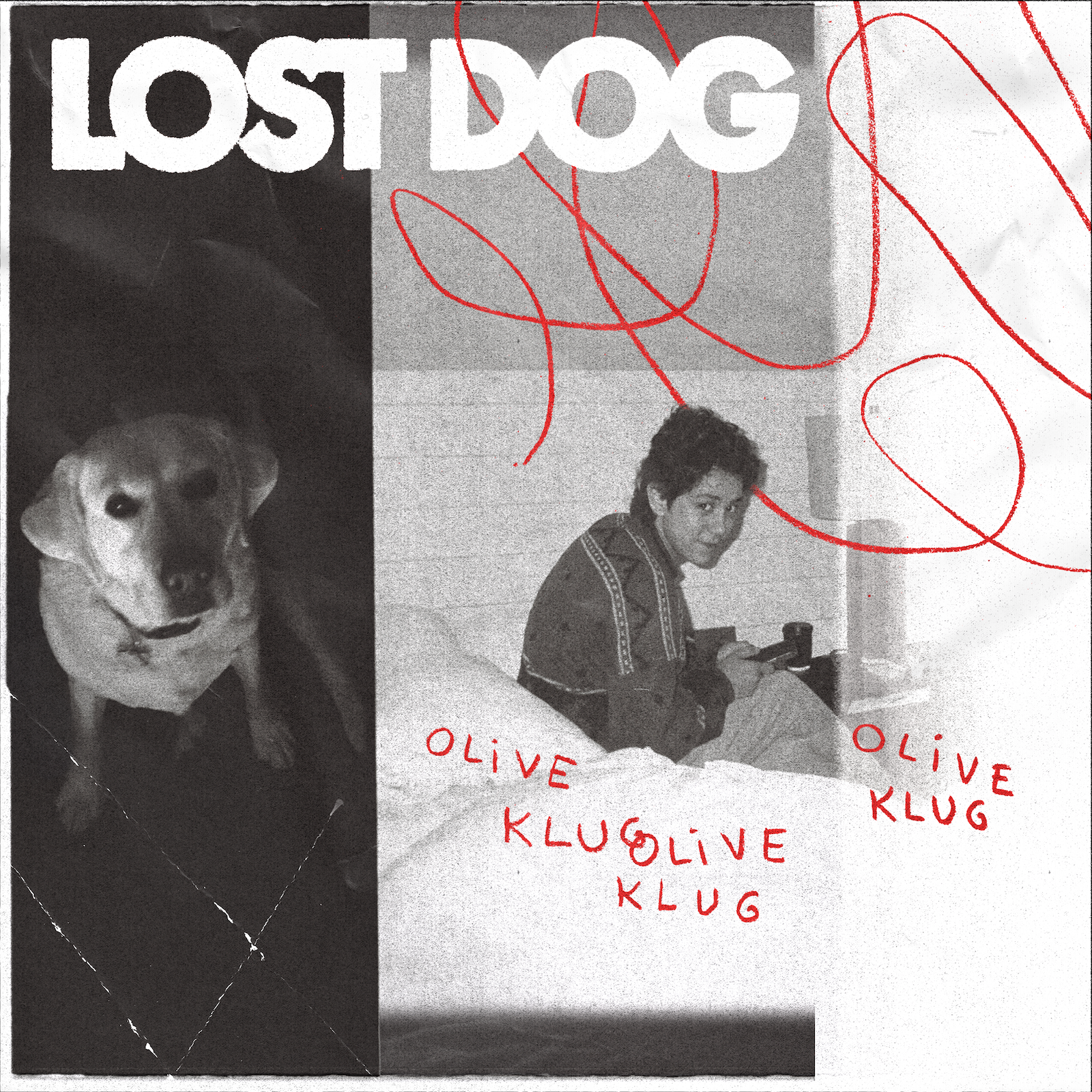 FINAL COVER LOST-DOG-OliveKlug-Cover-v2 small.png