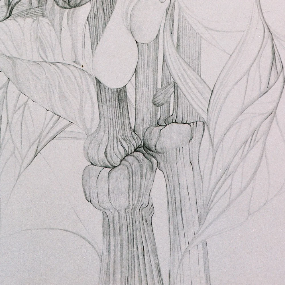 HommePlante_Detail02_1000.jpg