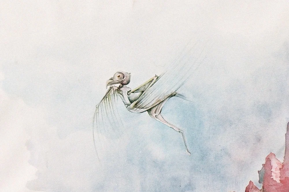 Aquarelle_Detail01_1000.jpg