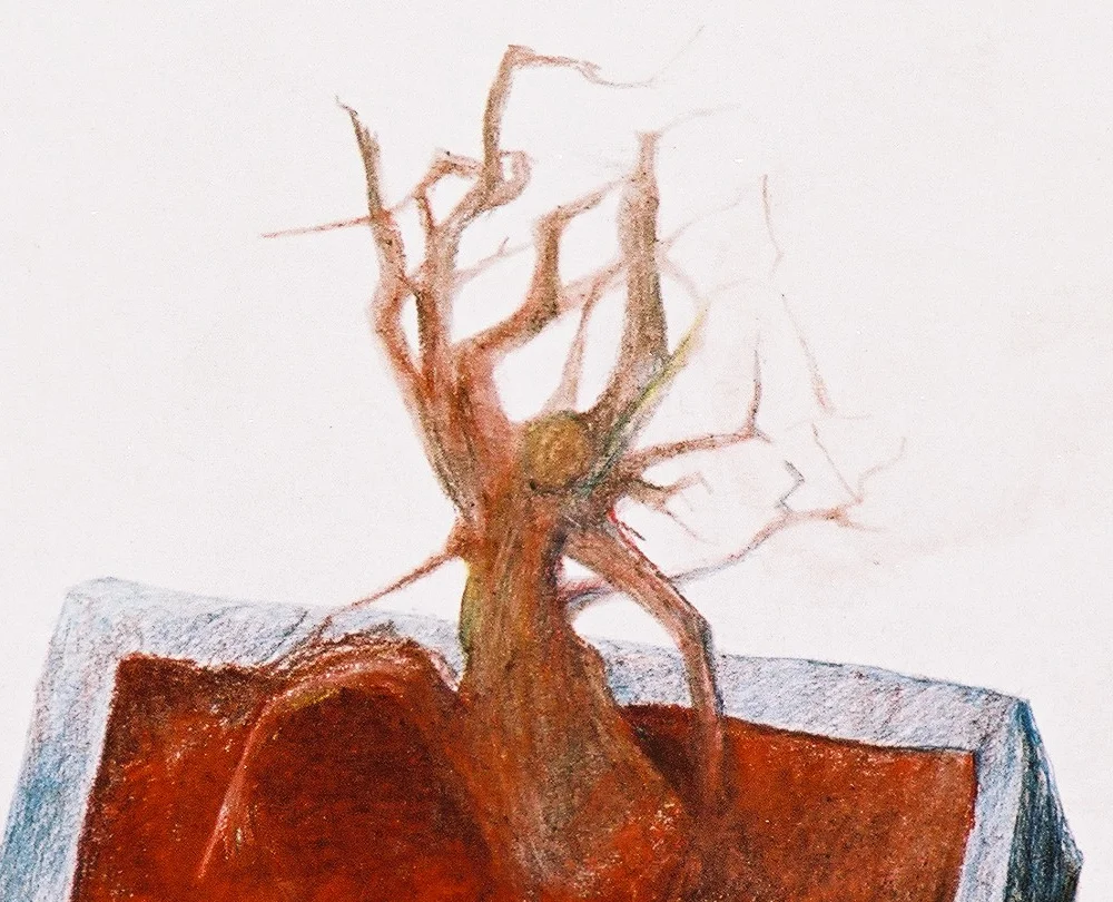 Bonzai_Detail01_1000.jpg