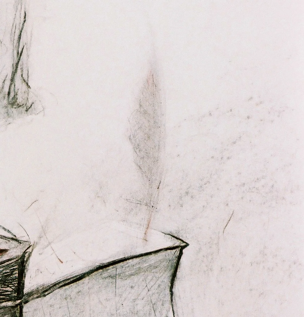 BonzaiGrisRouge_Detail02_1000.jpg