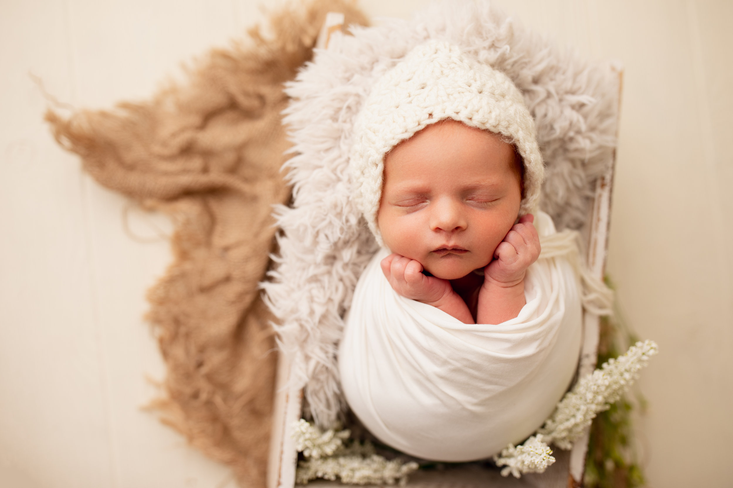 baby in a basket for a newborn session