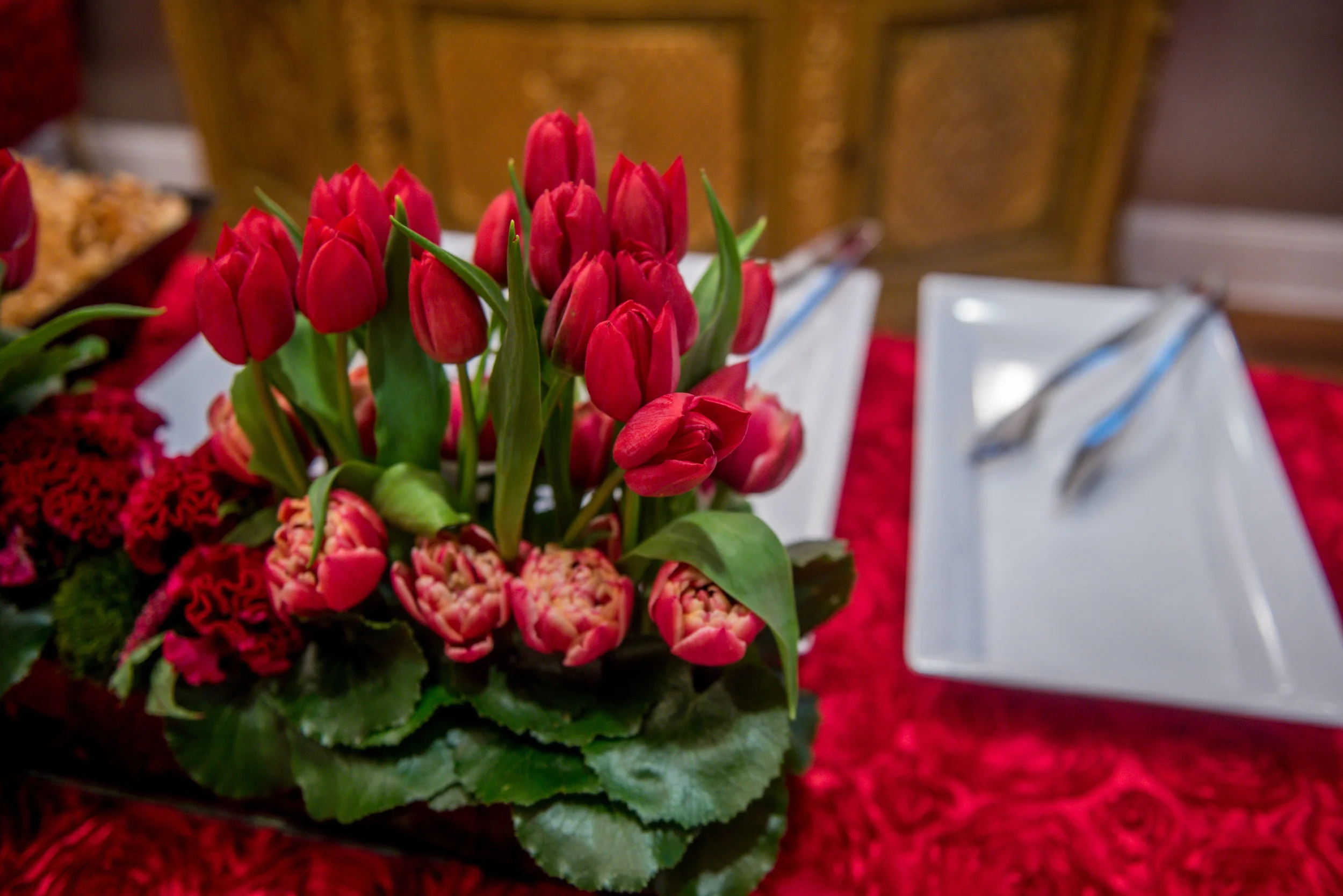 CarmenBond-50-SelaviePhoto-7.jpg