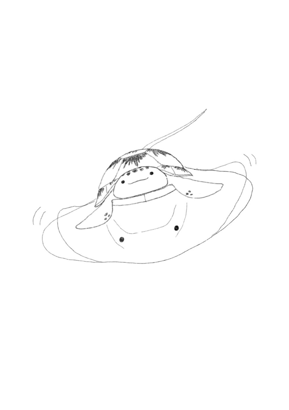 나는거북이4.jpeg