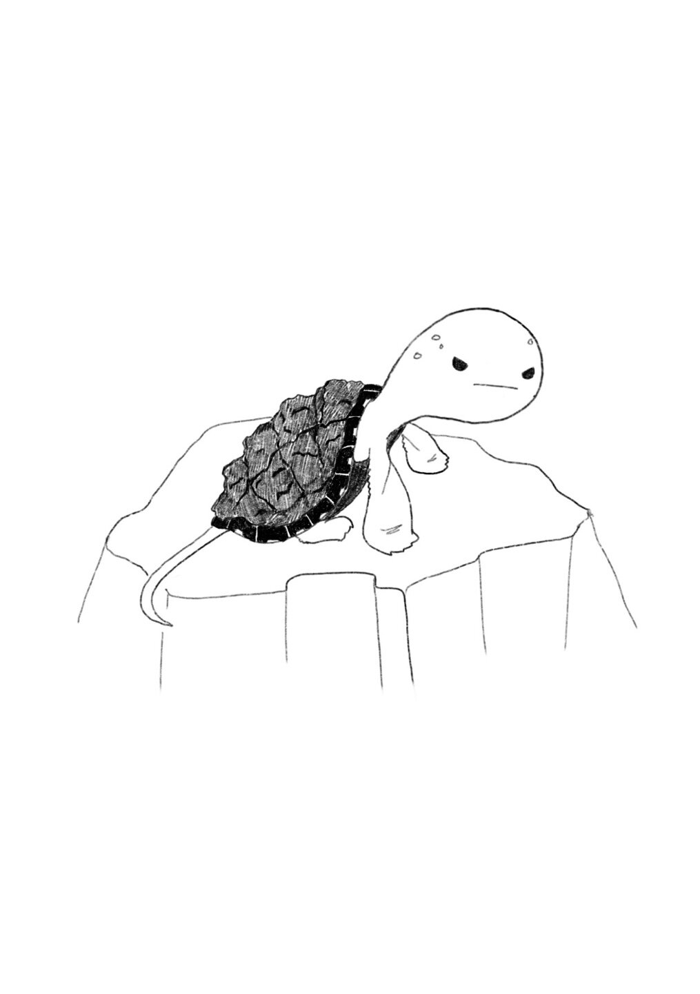 나는거북이8.jpeg
