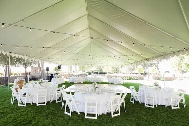 Carol Hannah Spellbound-Vineyard Wedding