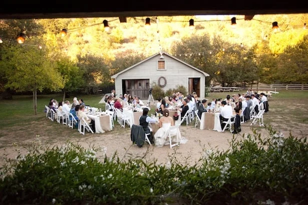 Birch Gown, Outdoor Wedding--Carol Hannah