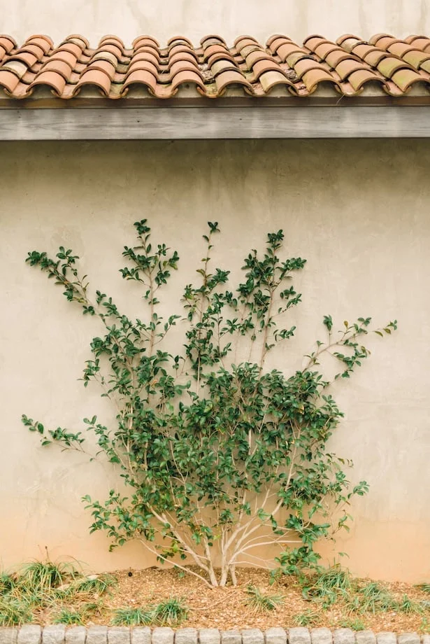 Inspiration Shoot: Les Cometes and Rustic White Photography