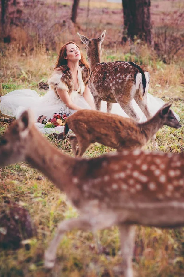 Carol Hannah - Into the Wood Inspiration Shoot 6
