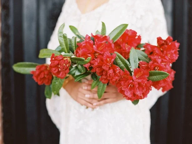 Carol Hannah Iolite gown - Real Wedding Inspiration - Nepal Workshop with Nina and Wes