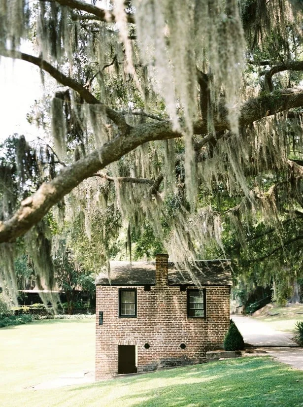 Carol Hannah Citrine Real Wedding Inspiration - Perry Vaile Photography