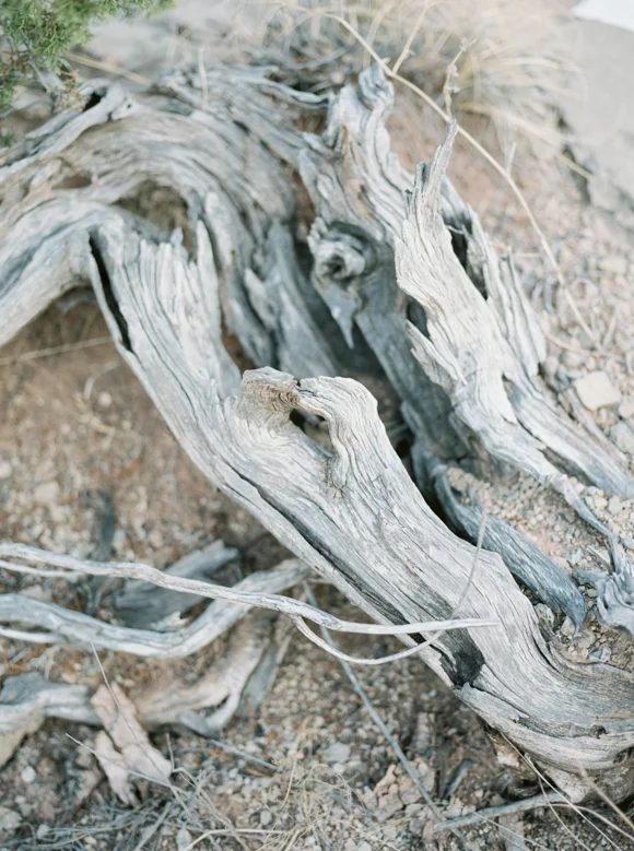 Carol Hannah Celestine gilded-desert_07.jpg