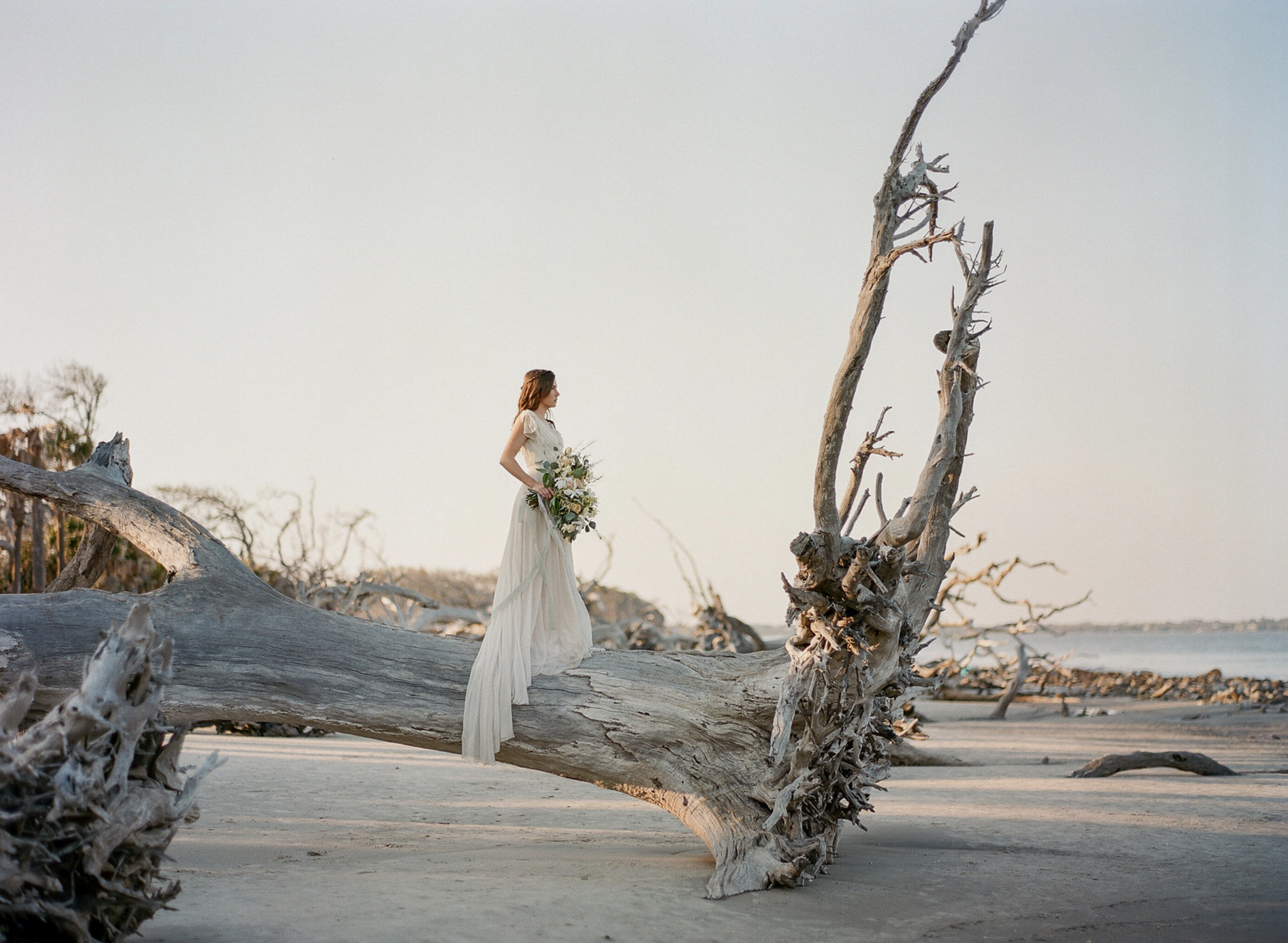 Carol Hannah Bridal Monticello Gown 21.png