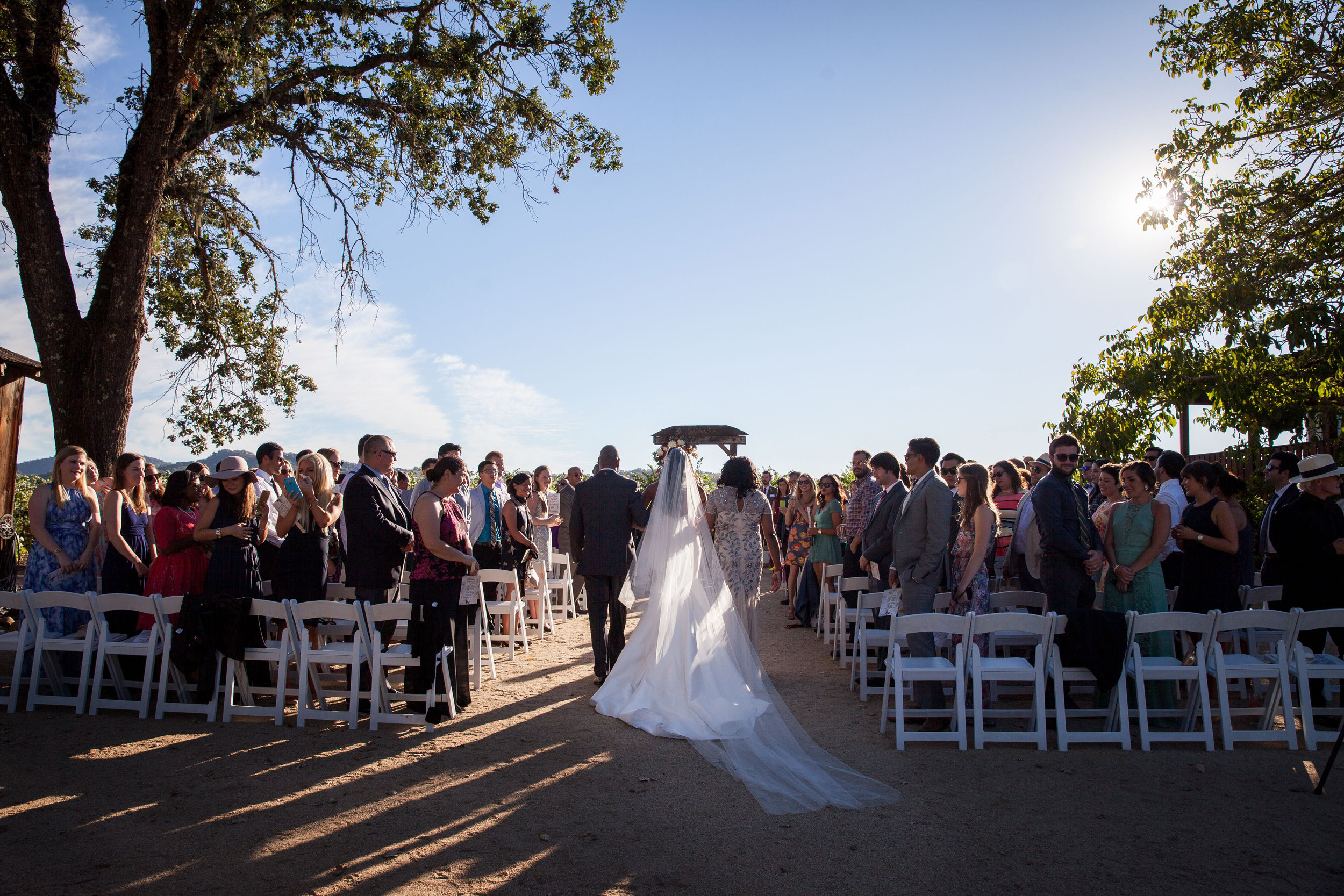 Carol Hannah Bridal Tourmaline Gown Alana 3.jpg