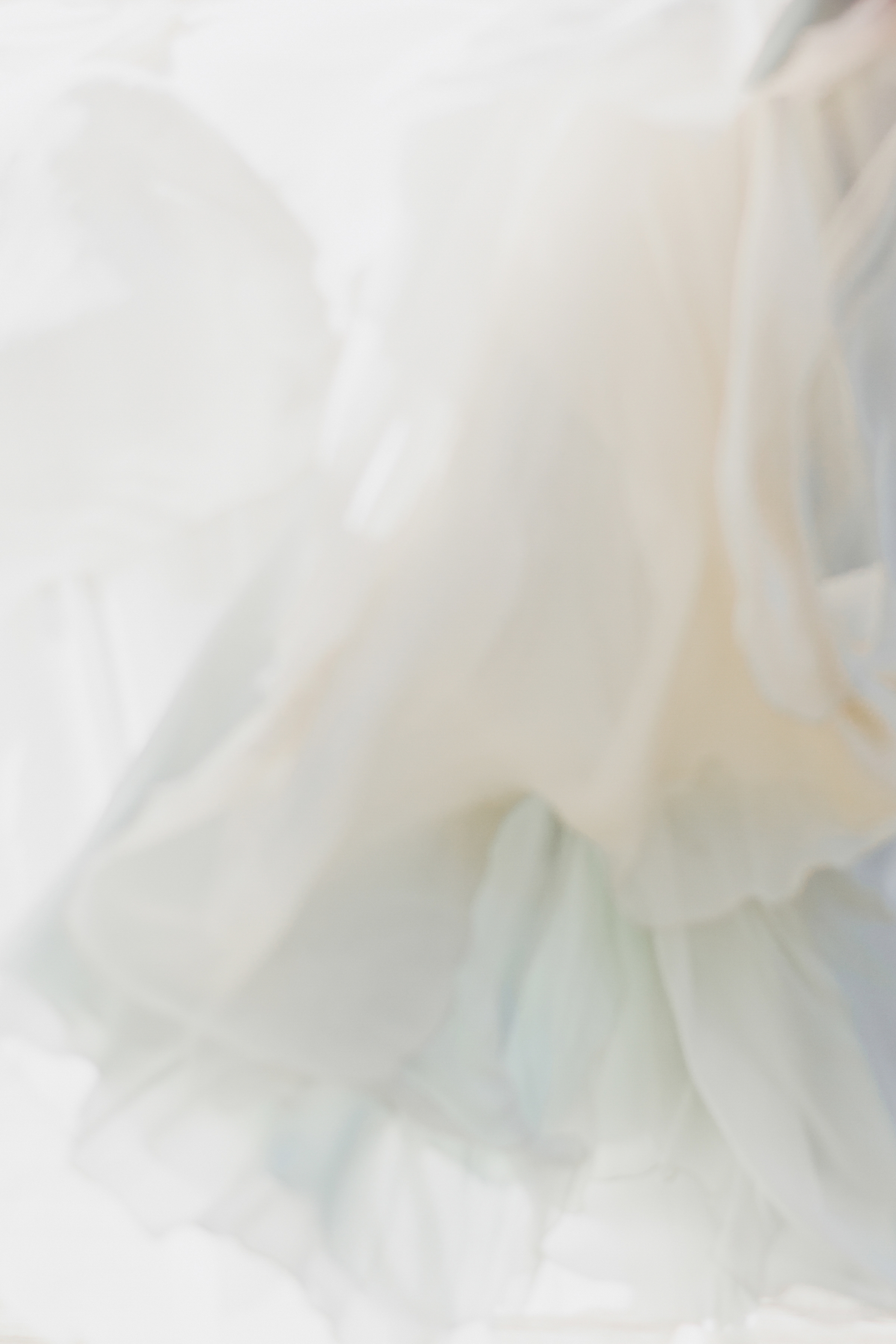Carol Hannah Bridal Celestine Gown Movement-35_Color.jpg