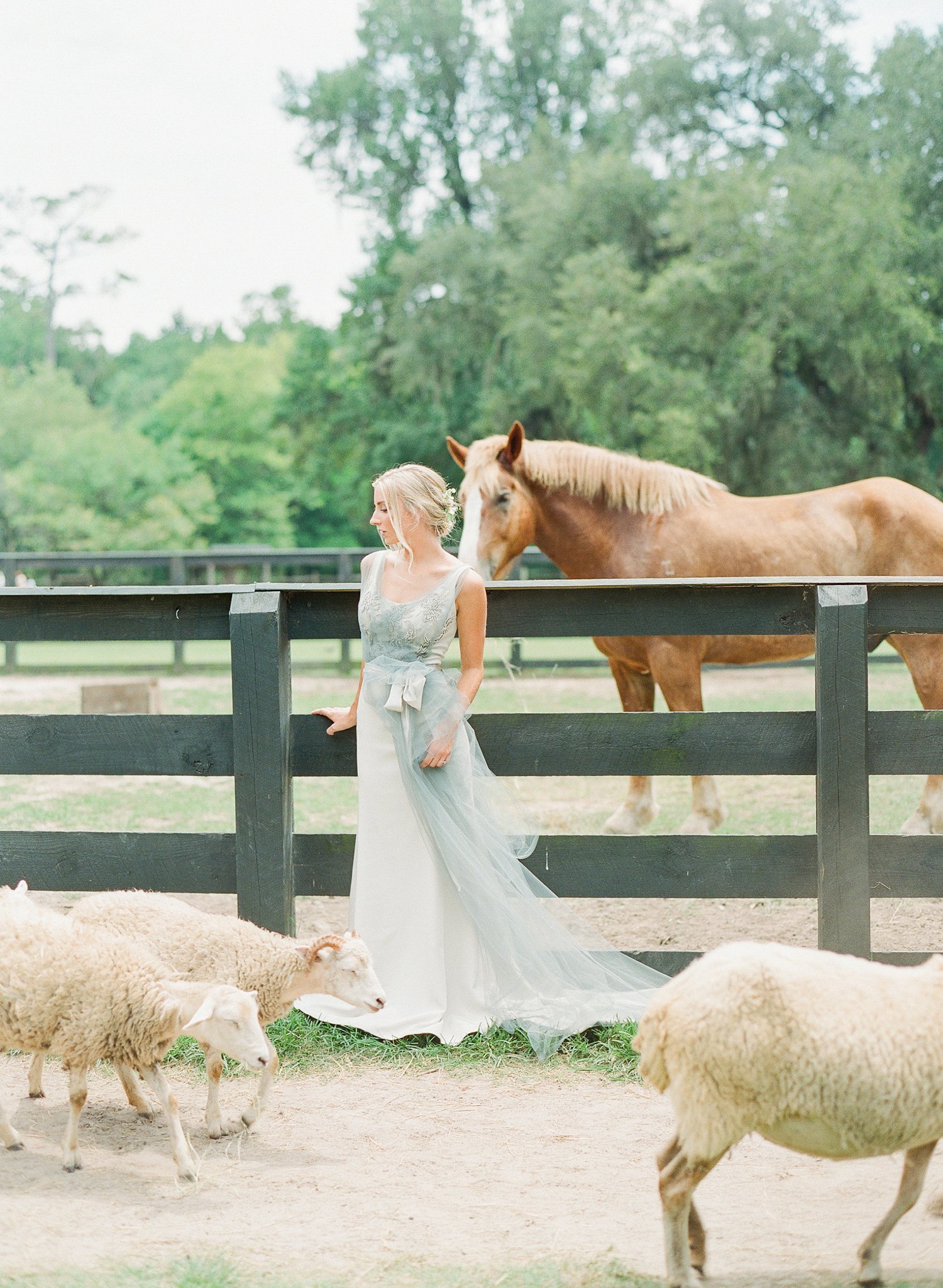 Carol Hannah Bridal Downton Gown TSOS-joyce-ko-jodimillerphoto_037.JPG