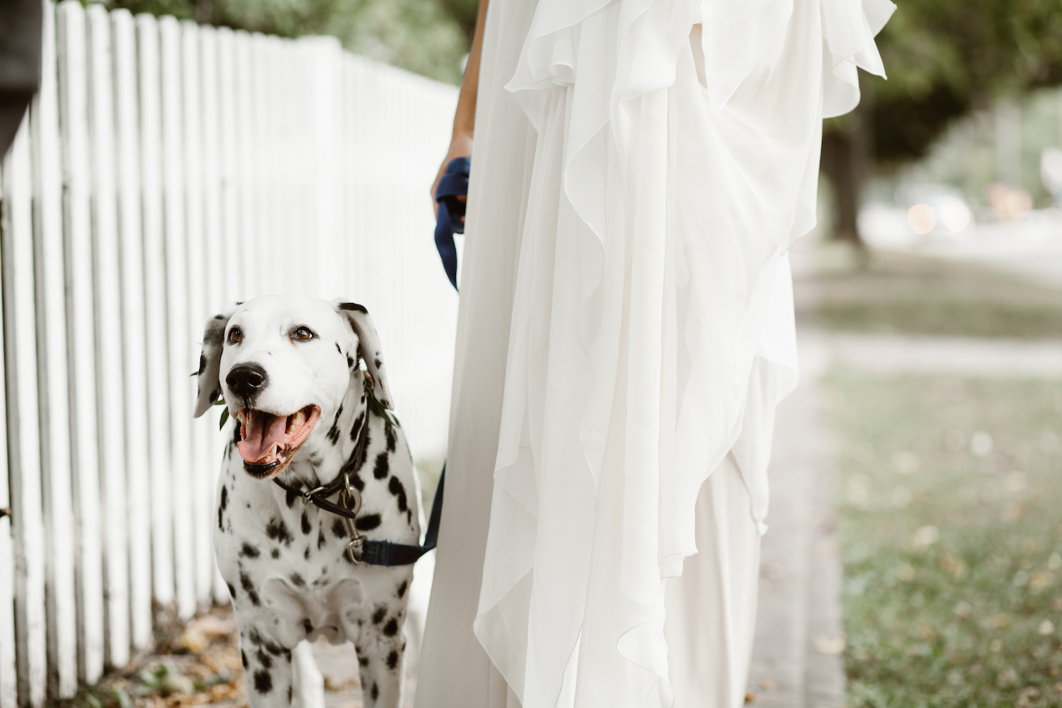 Alex + Bethann © Reed Photography-72.jpg