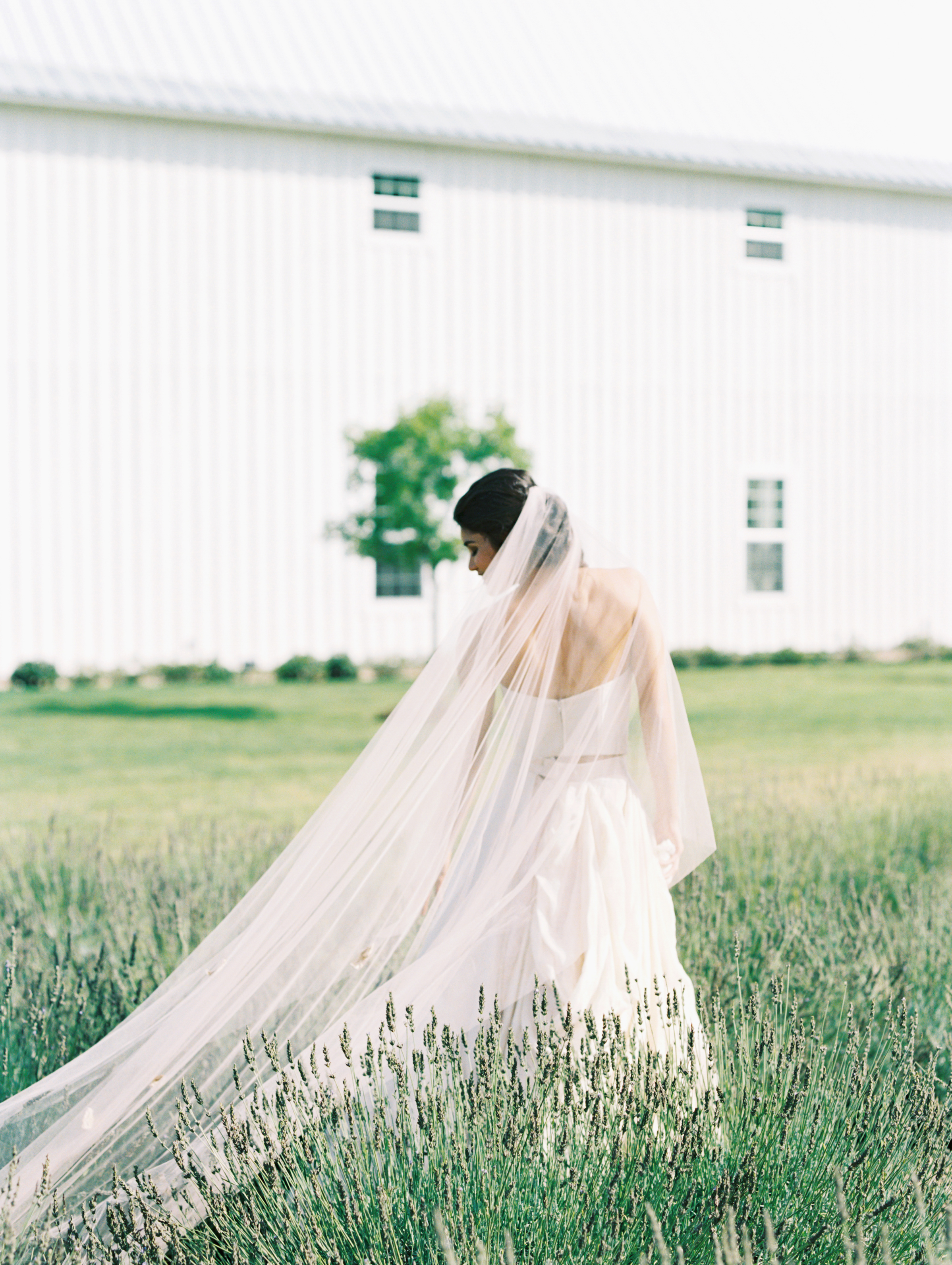 Carol Hannah fritillary wedding dress kensington skirt-1-201.jpg