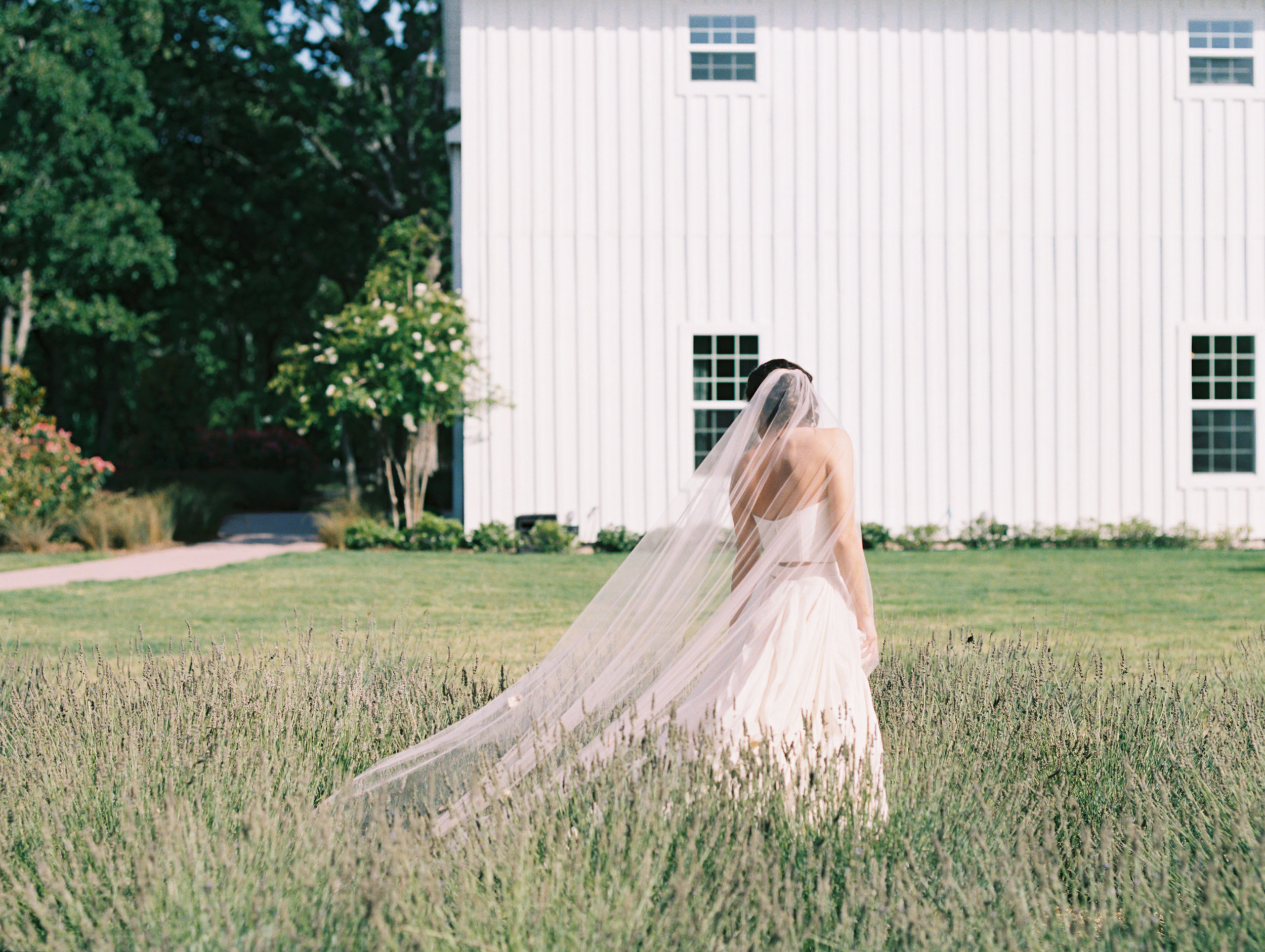Carol Hannah fritillary wedding dress kensington skirt-1-206.jpg