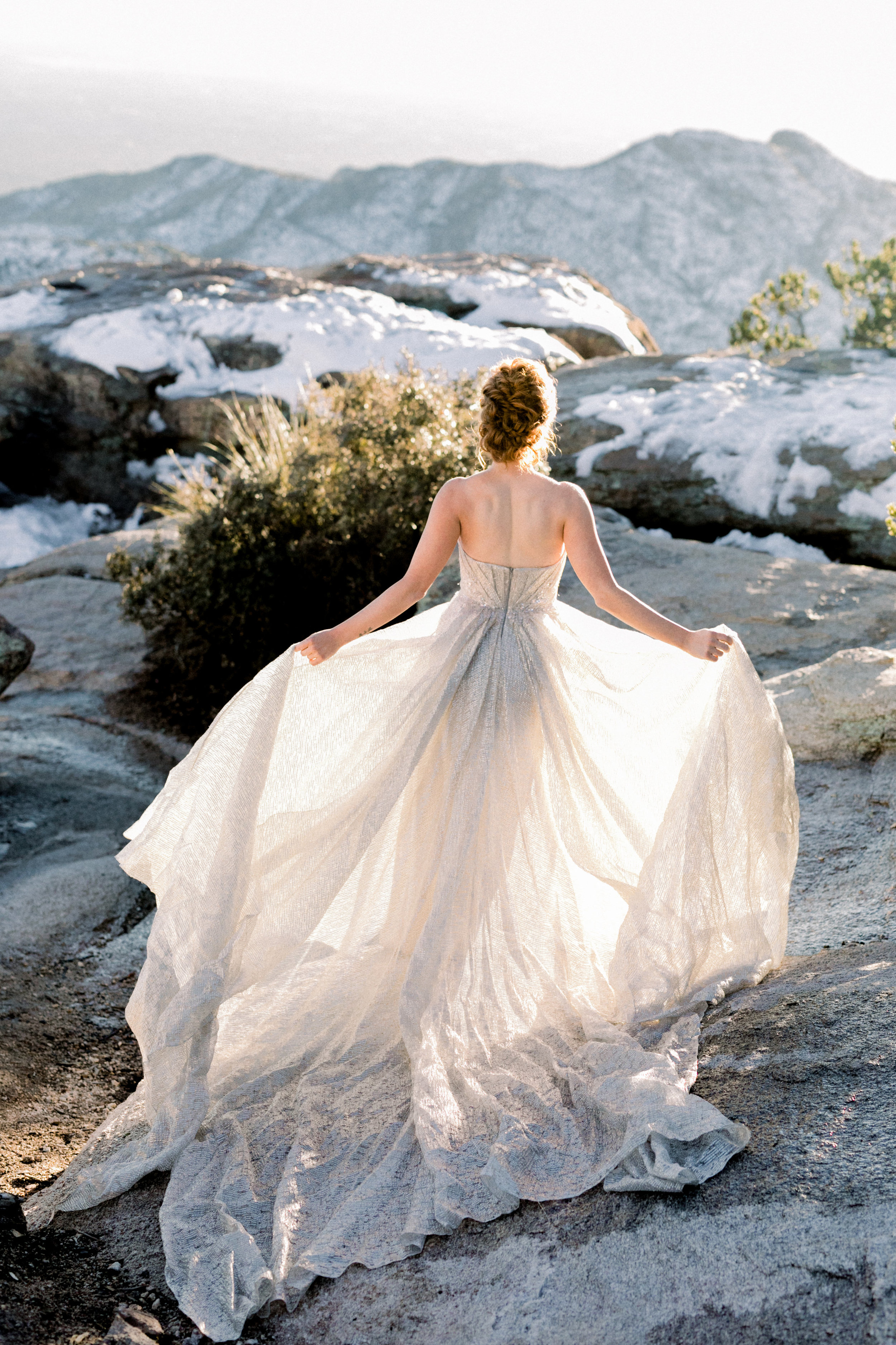 silver metallic floaty wedding gown strapless (5).jpg