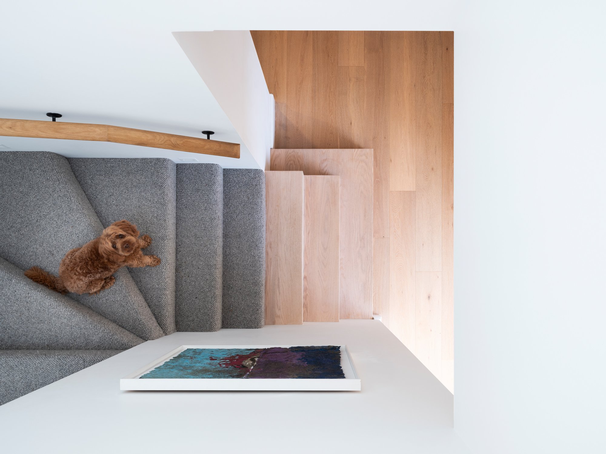 TFPhoto_Mel Koch_Roseville_0068.jpg